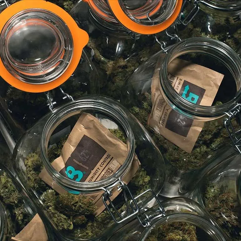 62% Boveda 8g 10-pack