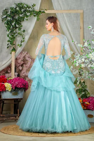 Baby Blue stylish Gown