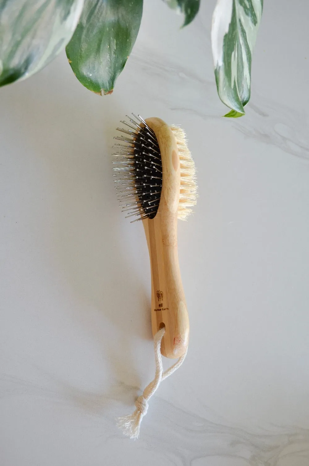 Bamboo Pet Brushes