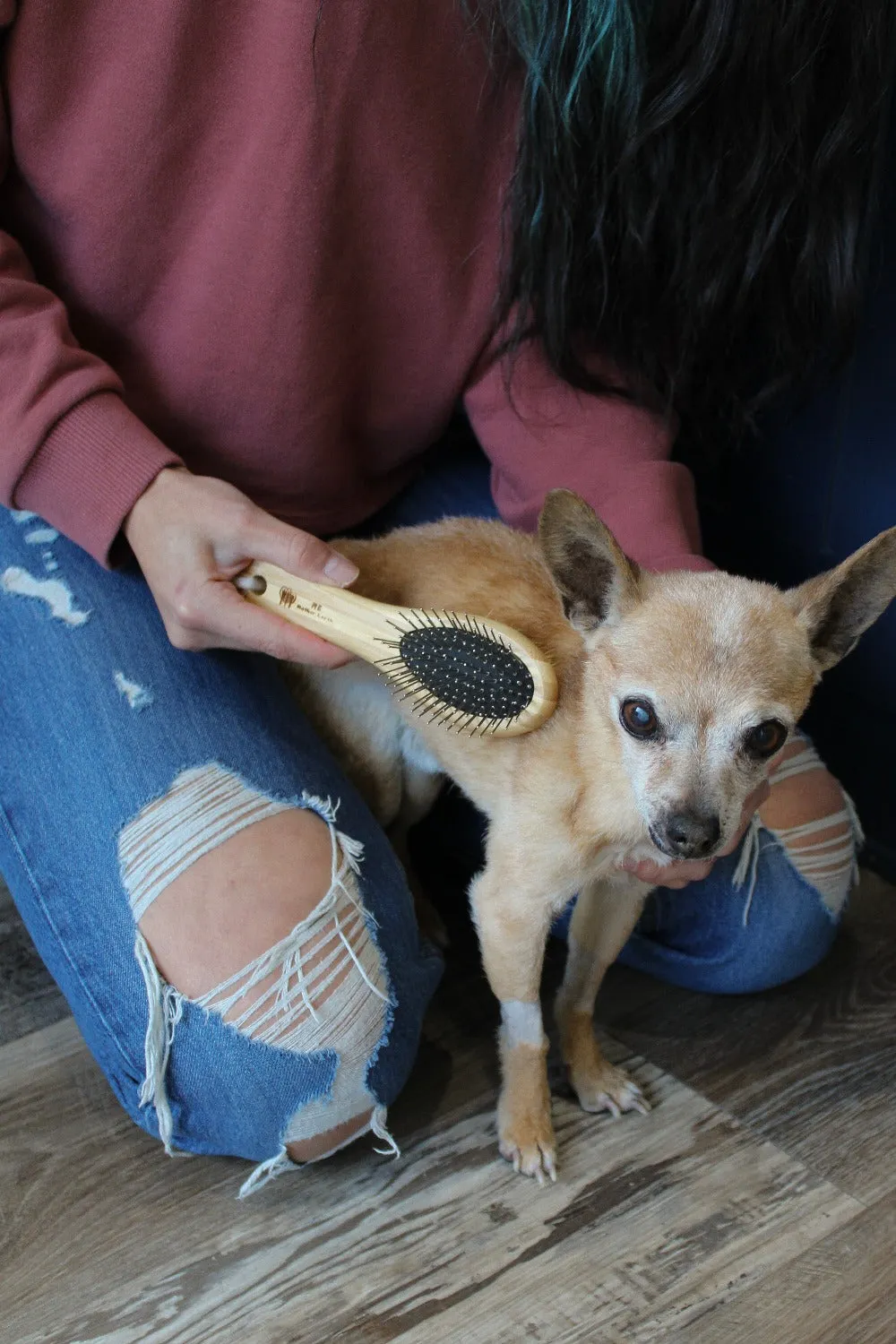 Bamboo Pet Brushes