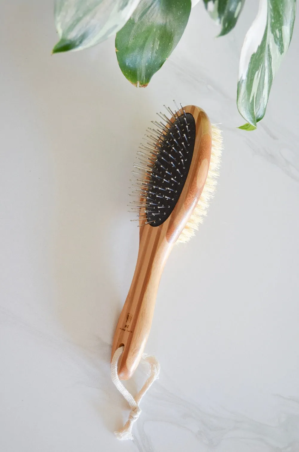 Bamboo Pet Brushes