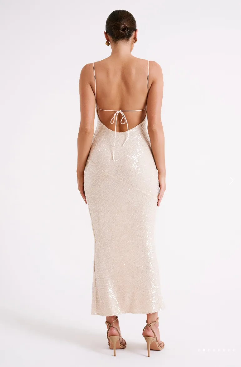 Brianna Sequence Stylish Maxi Dress