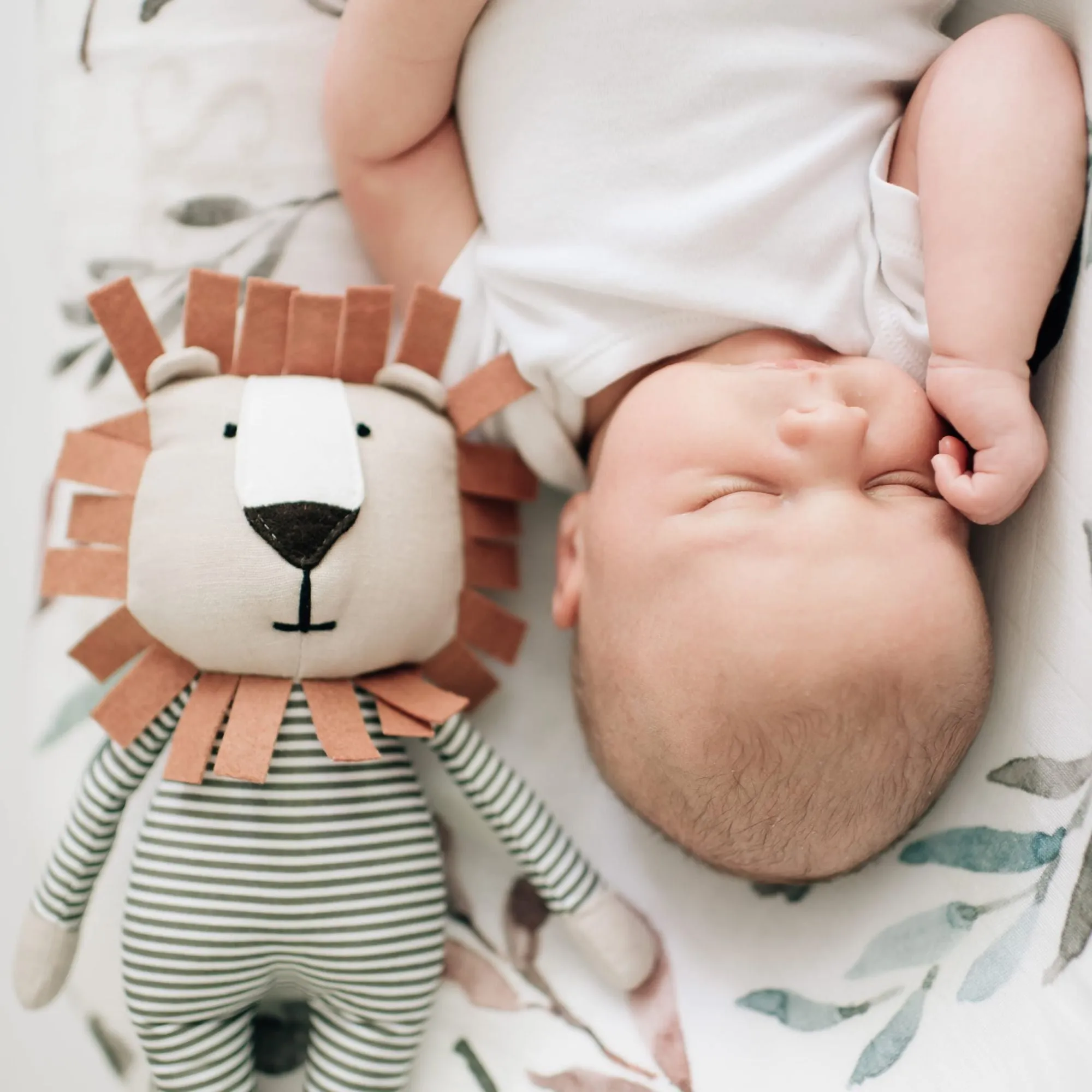 Carson The Lion Soft Toy