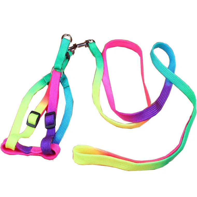 Colorful Dog Leashes - Durable & Stylish for All Breeds