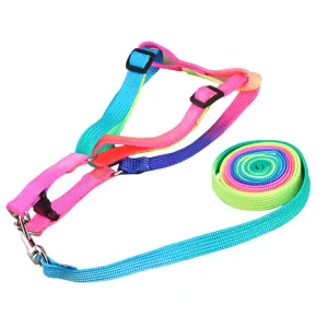 Colorful Dog Leashes - Durable & Stylish for All Breeds