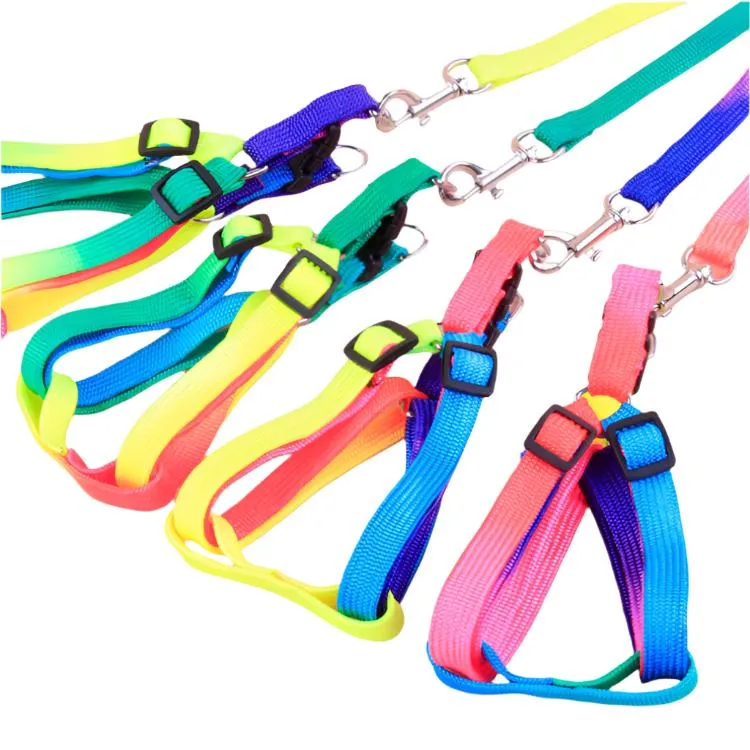 Colorful Dog Leashes - Durable & Stylish for All Breeds