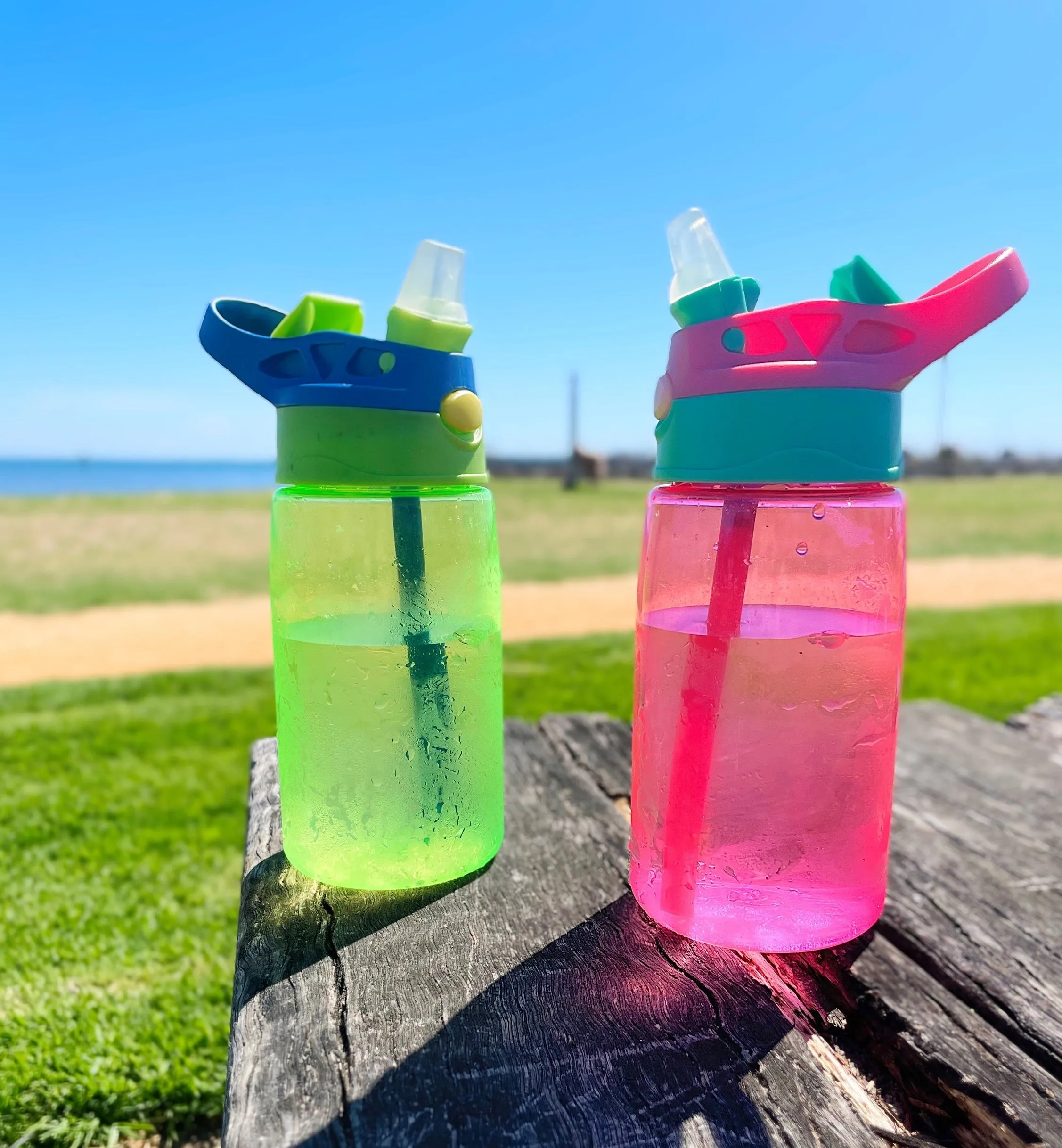 Drink Bottle - Blue
