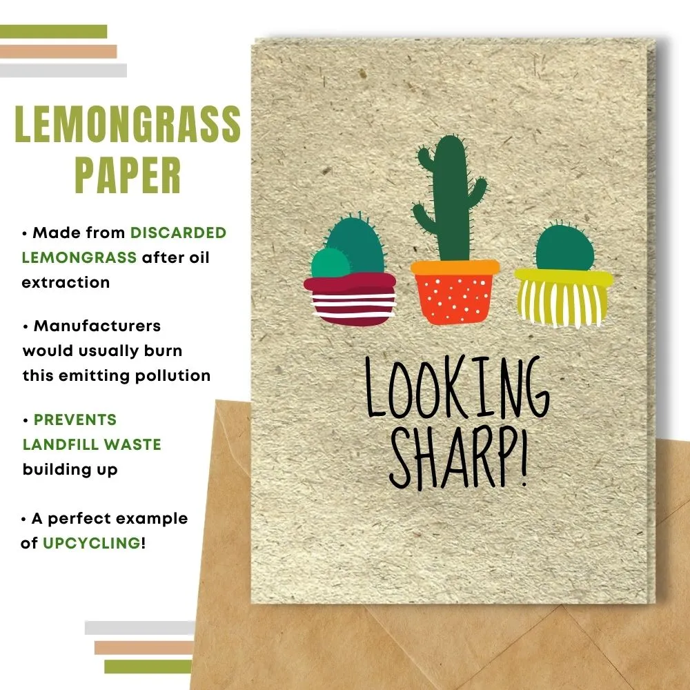 Eco Friendly Greeting Card, Looking sharp