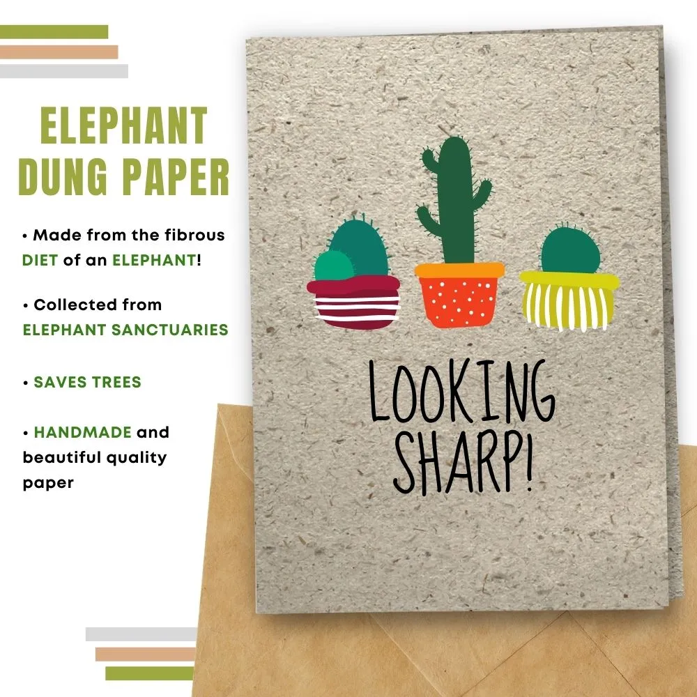 Eco Friendly Greeting Card, Looking sharp