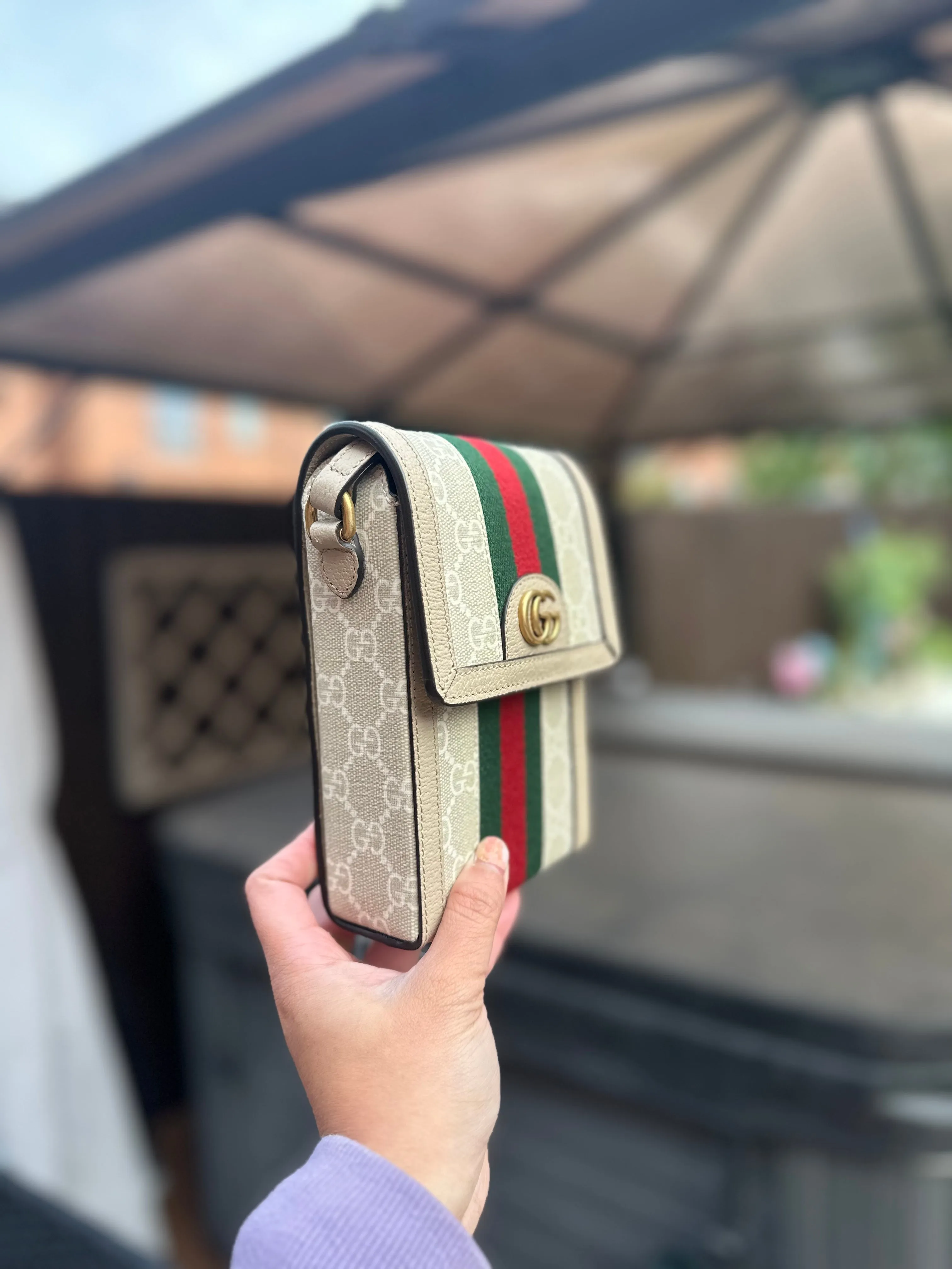Gg ophidia phone bag