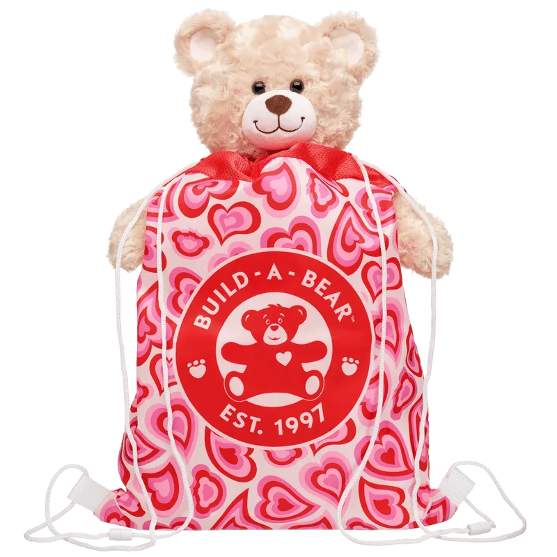 Groovy Hearts Bear Carrier
