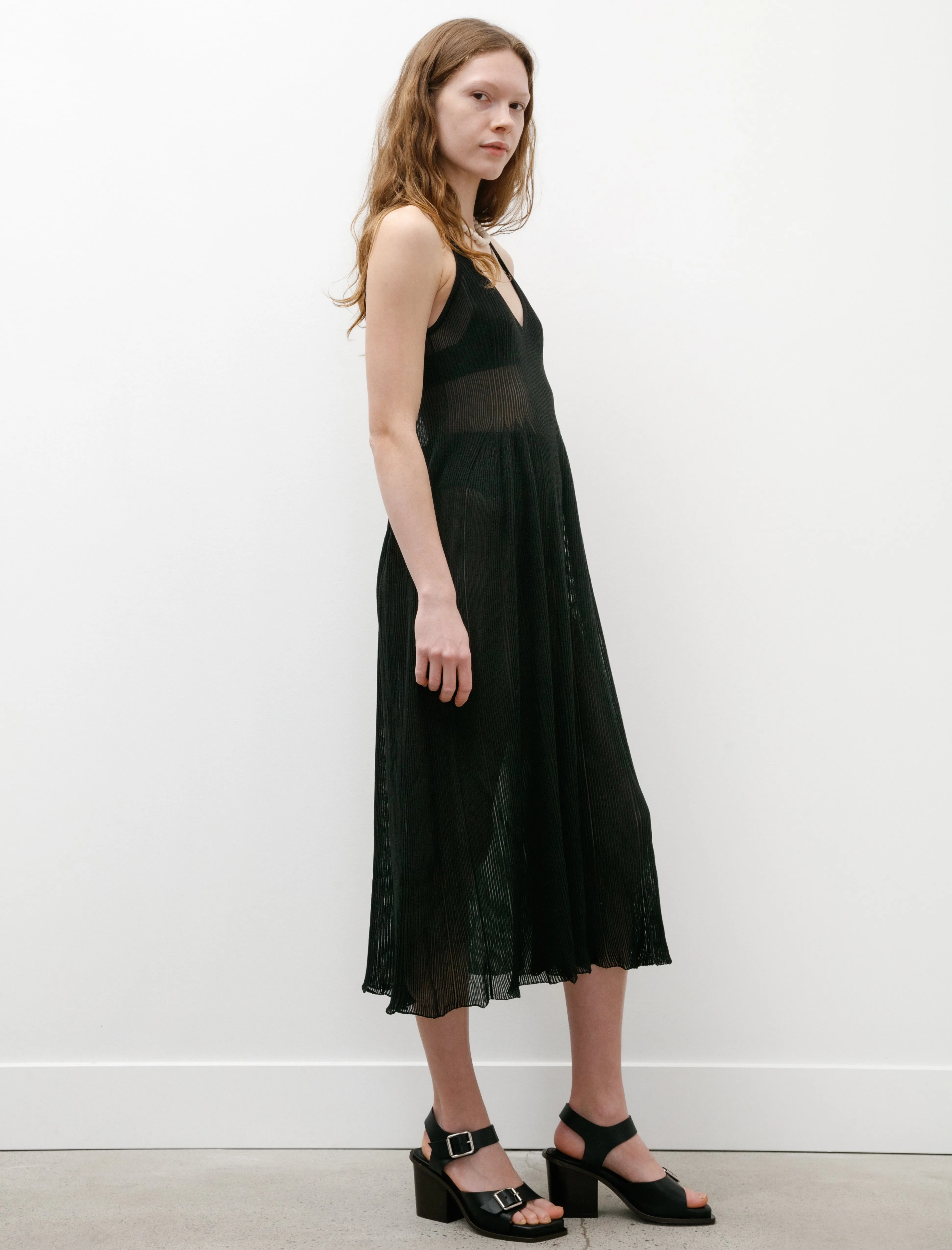 Hypha Lucent Sleeveless Dress