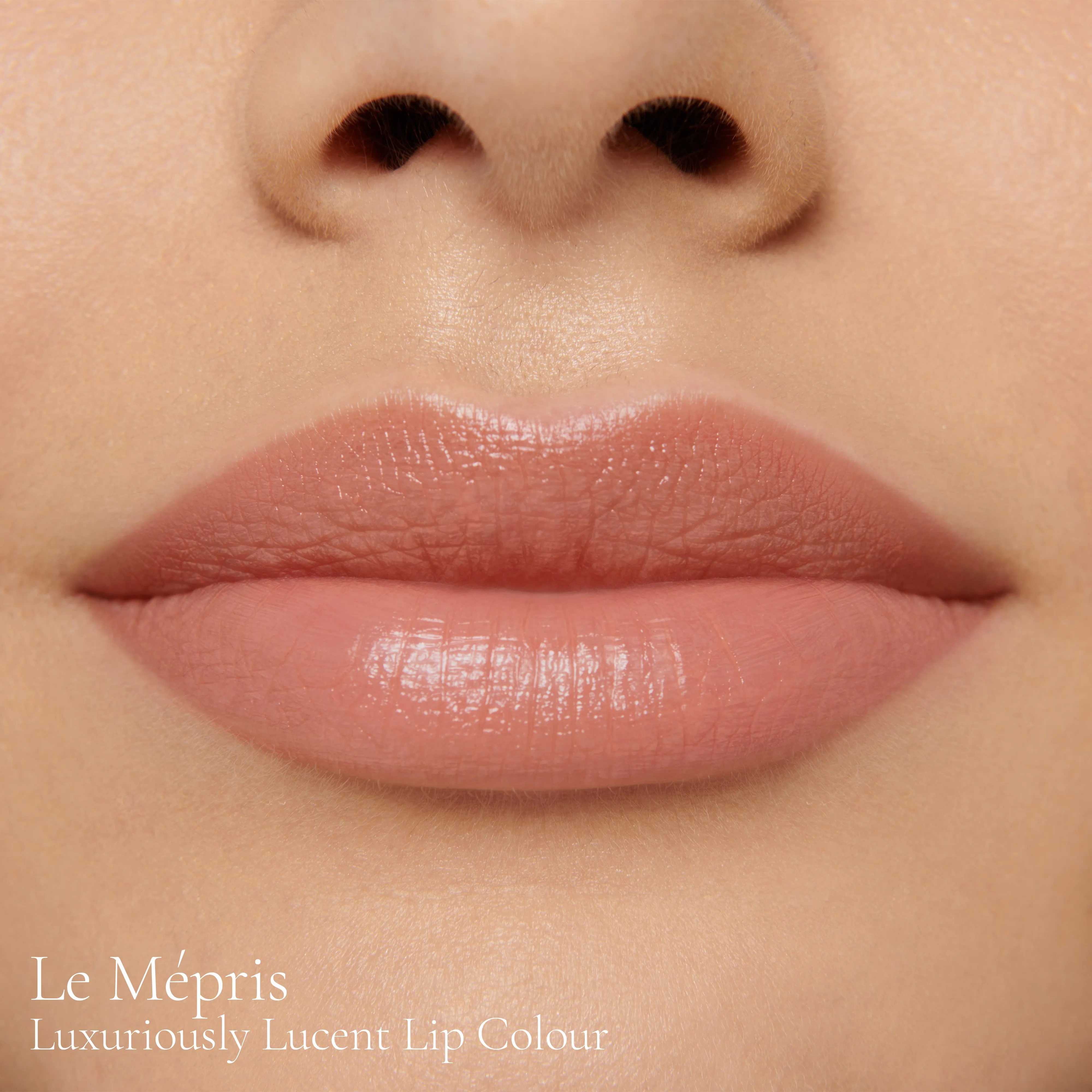 Le Mépris (Luxuriously Lucent Lip Colour)