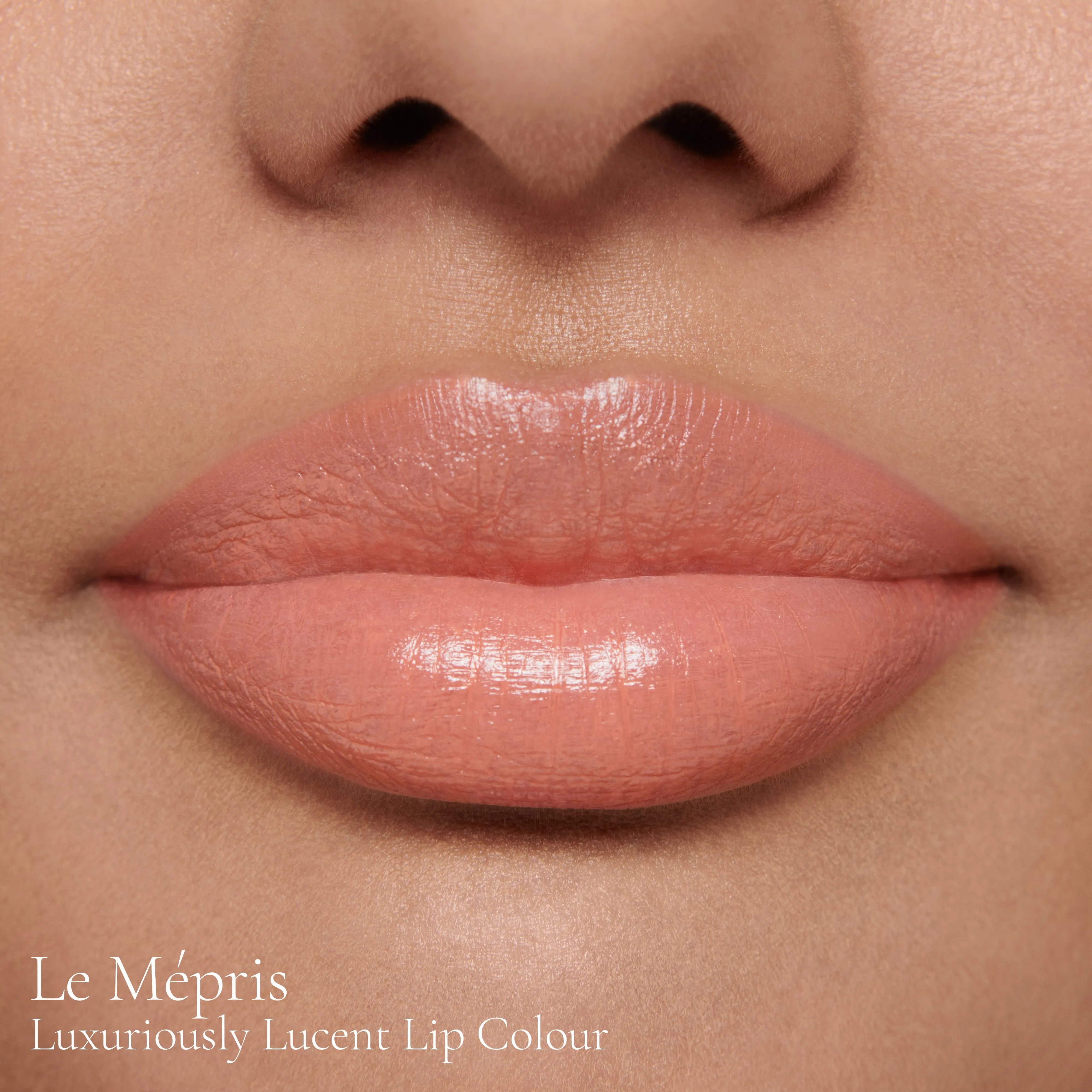 Le Mépris (Luxuriously Lucent Lip Colour)