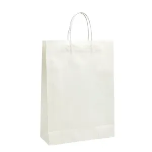 Medium White Twisted Handle Paper Bag - H420
