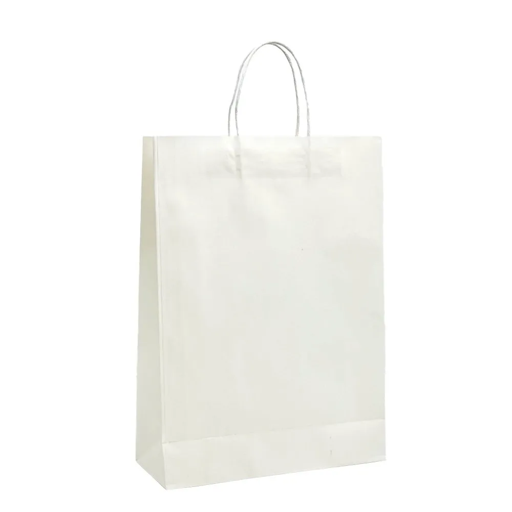 Medium White Twisted Handle Paper Bag - H420