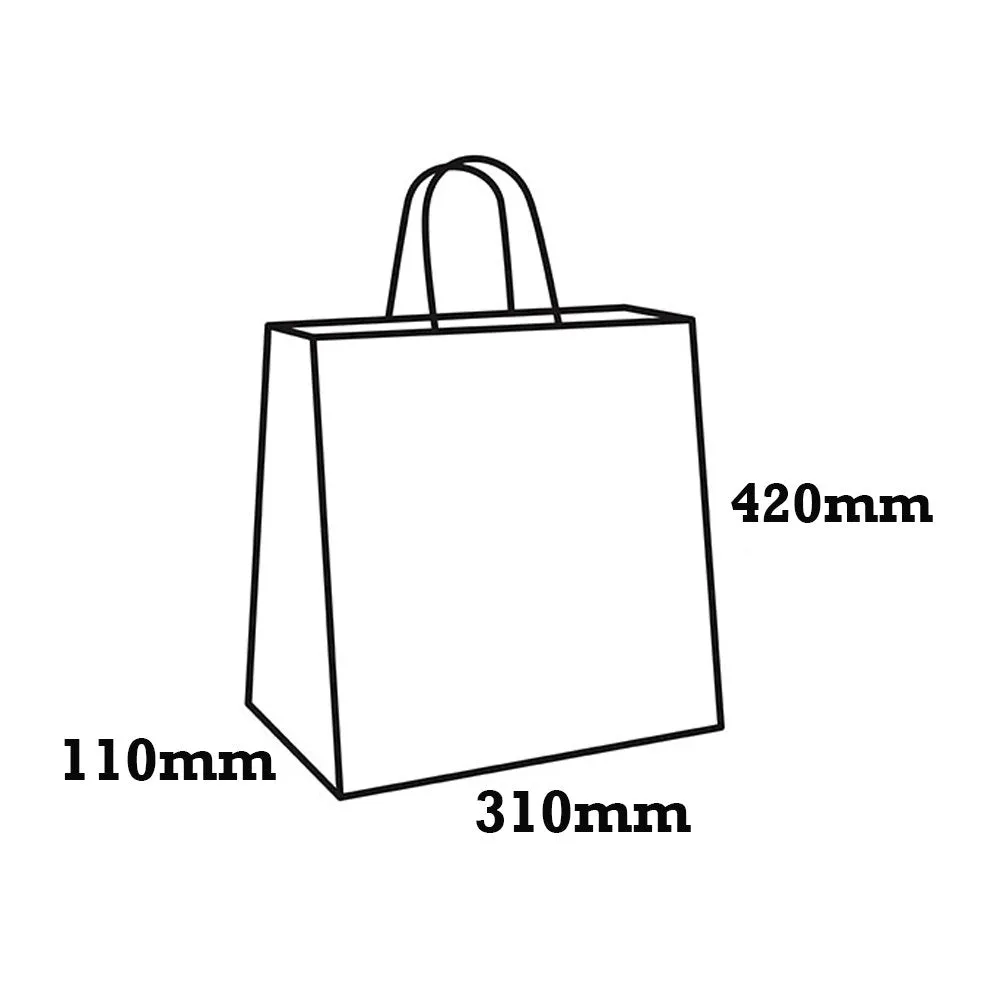 Medium White Twisted Handle Paper Bag - H420