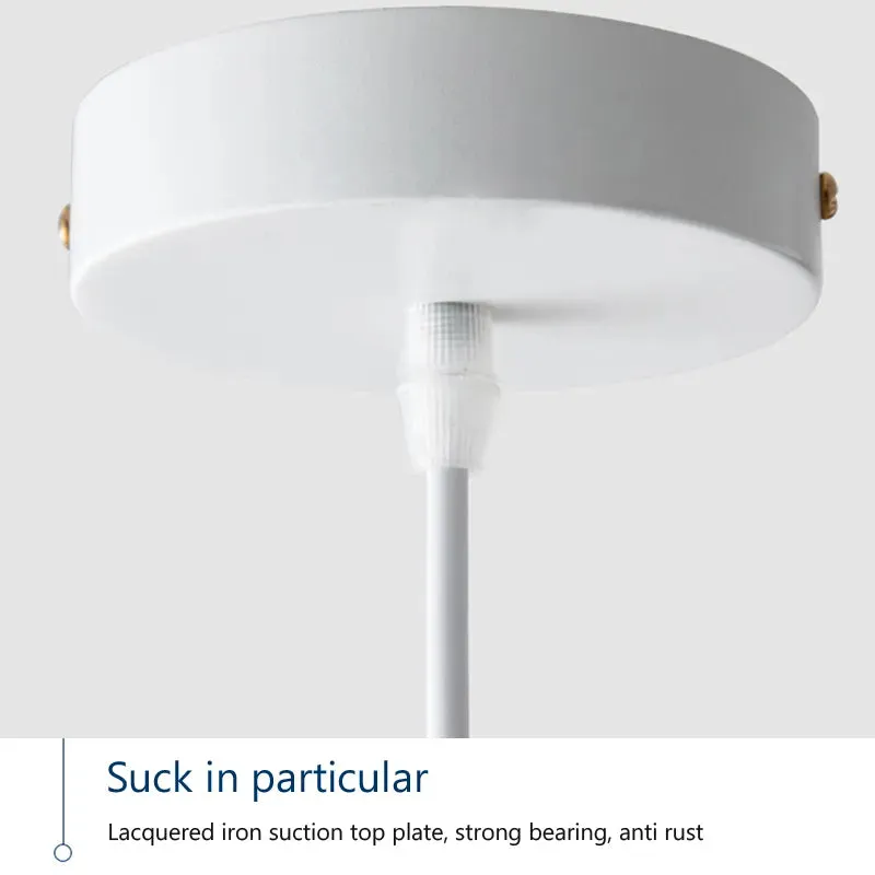 Modern Nordic Stylish Lustre Pendant Light