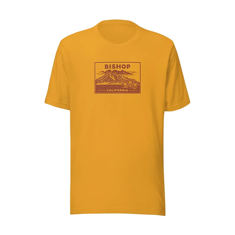 Mt. Tom Vintage T-Shirt