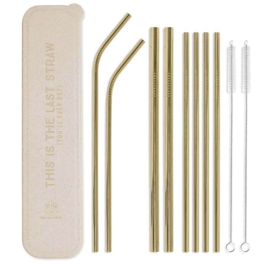 Portable Straw Set - This Is The Last Straw