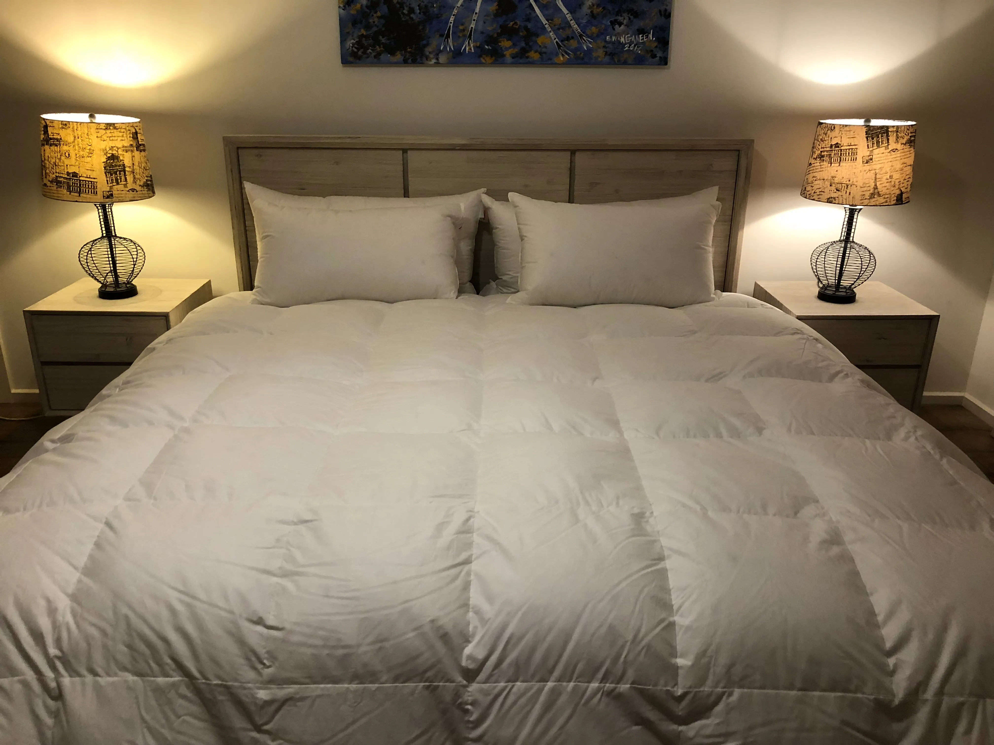 Queen Size Quilt Baffle Boxed 95% White Polish Mother Goose Down 7 Blanket Warmth 900 Fill Power