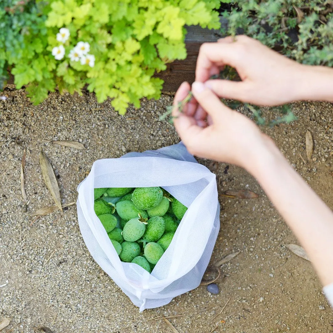 sample reusable produce bags