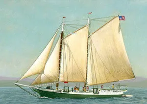 Schooner Mercantile