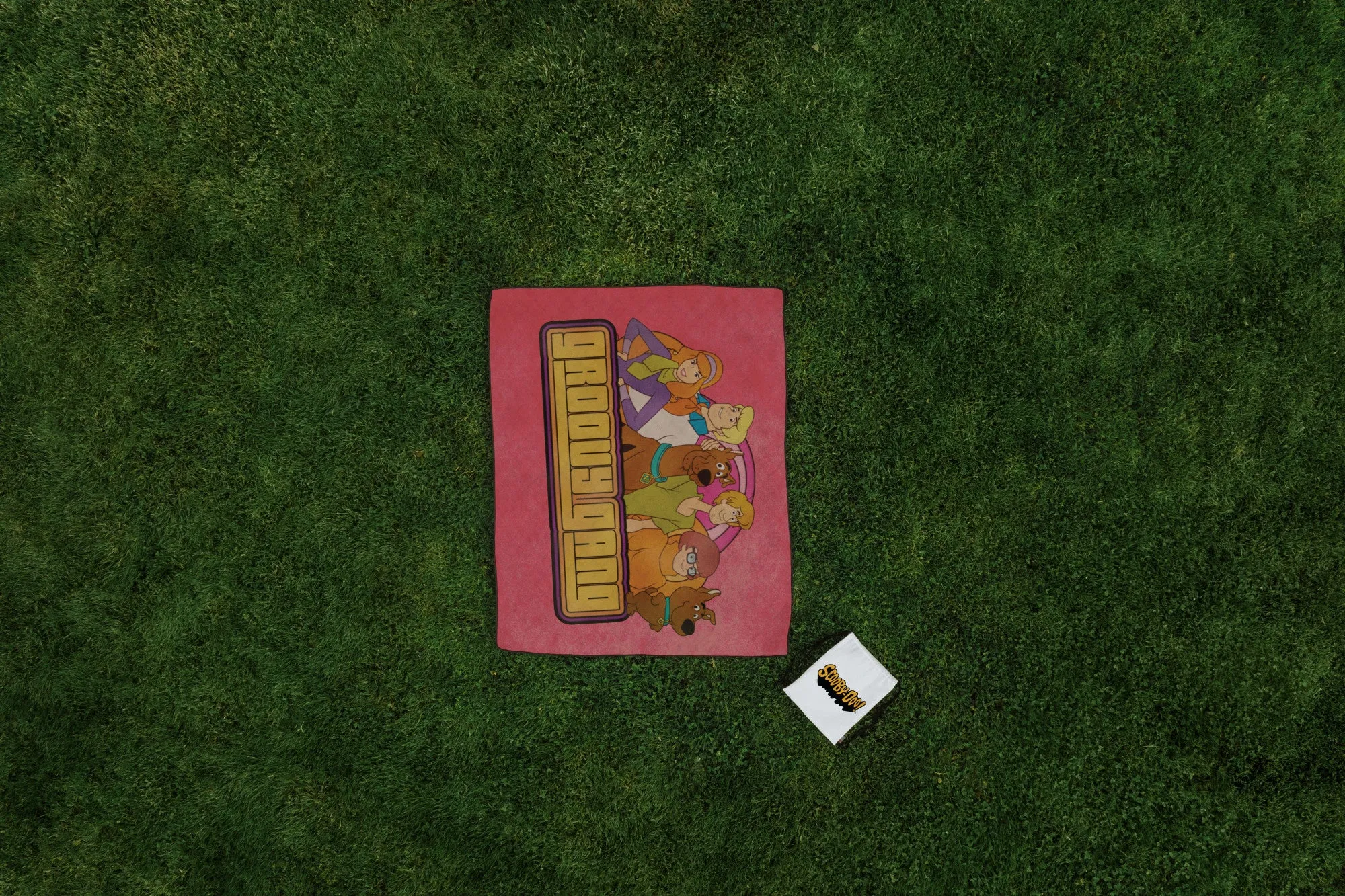 Scooby Doo - Impresa Picnic Blanket