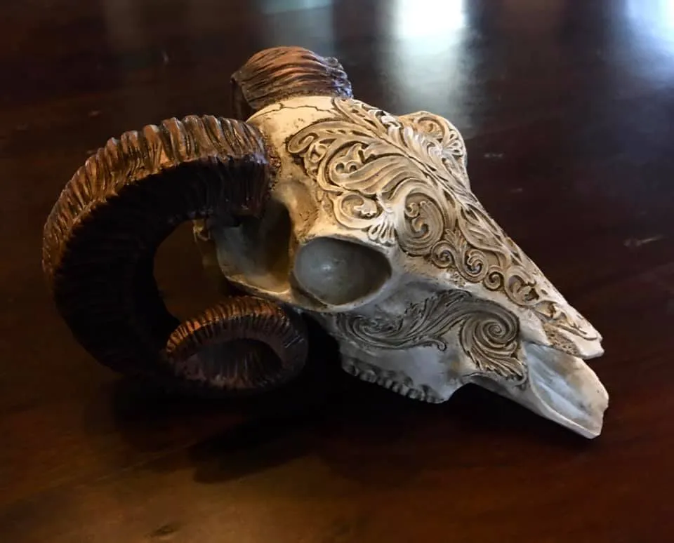 SCRIMSHAW RAM'S SKULL