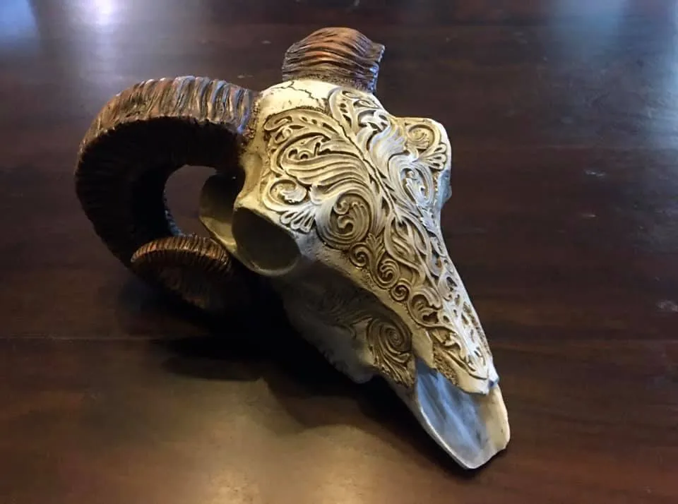 SCRIMSHAW RAM'S SKULL