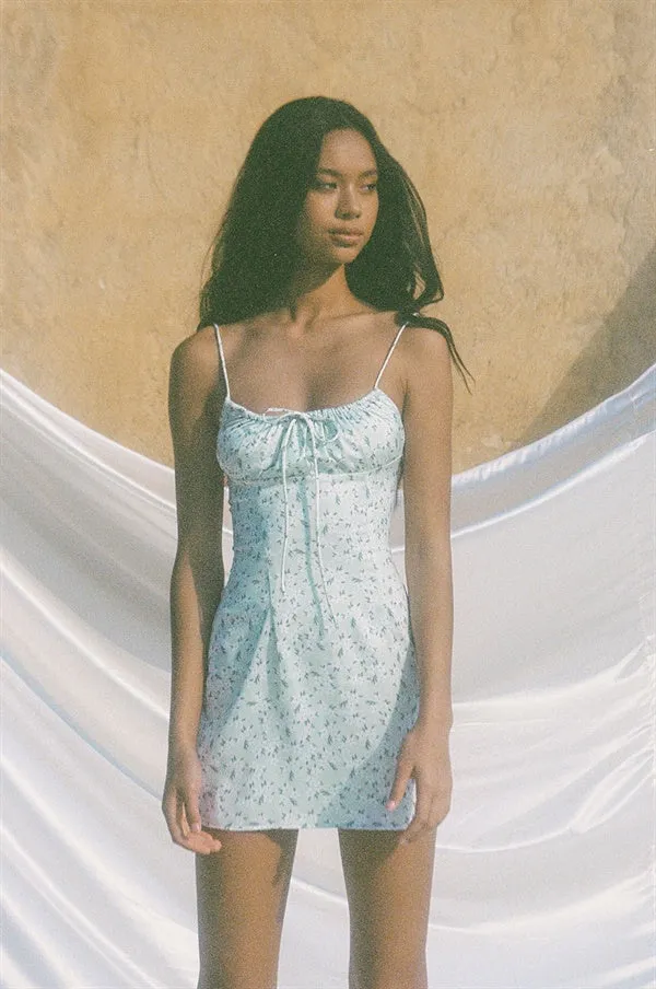 Silky Cambria Dress