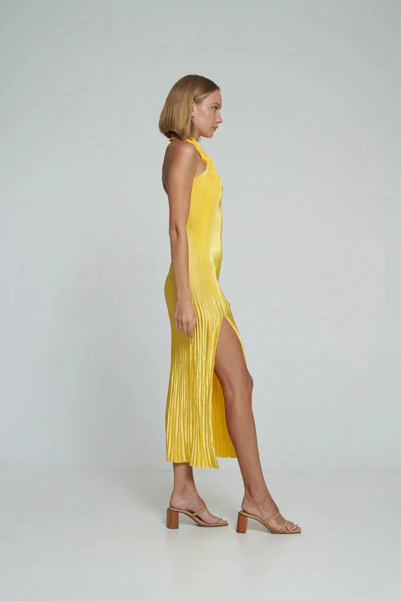 SOIREE PLEATED Stylish HALTER GOWN