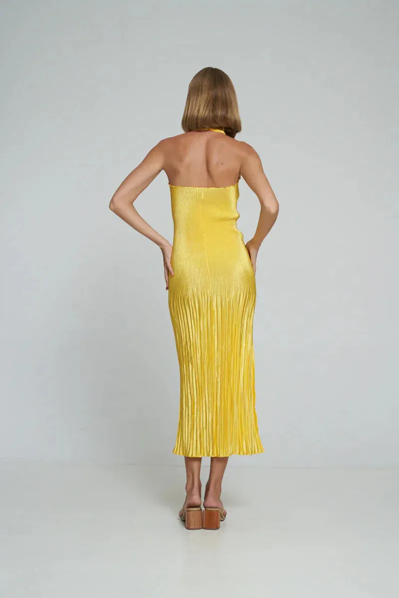 SOIREE PLEATED Stylish HALTER GOWN