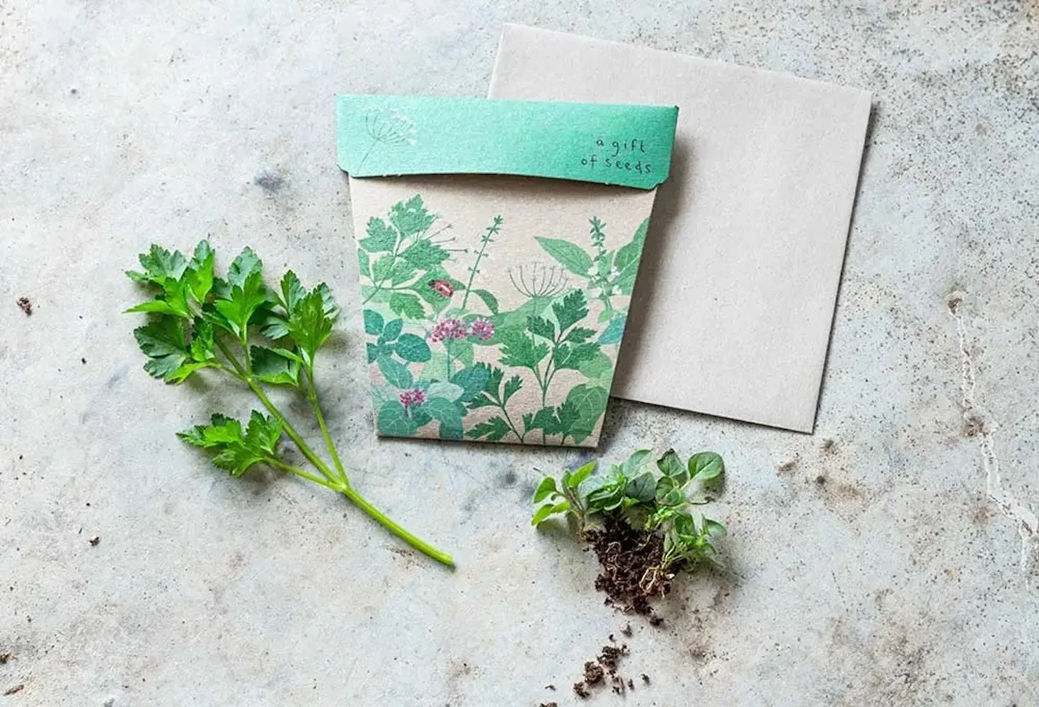 Sow 'n' Sow A Gift of Seeds - Herbs