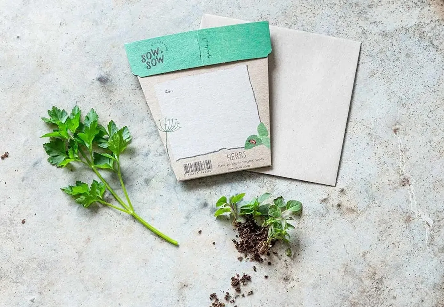 Sow 'n' Sow A Gift of Seeds - Herbs