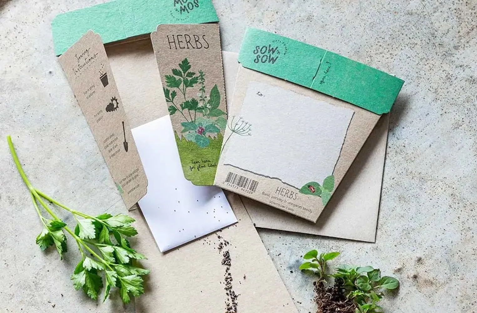 Sow 'n' Sow A Gift of Seeds - Herbs