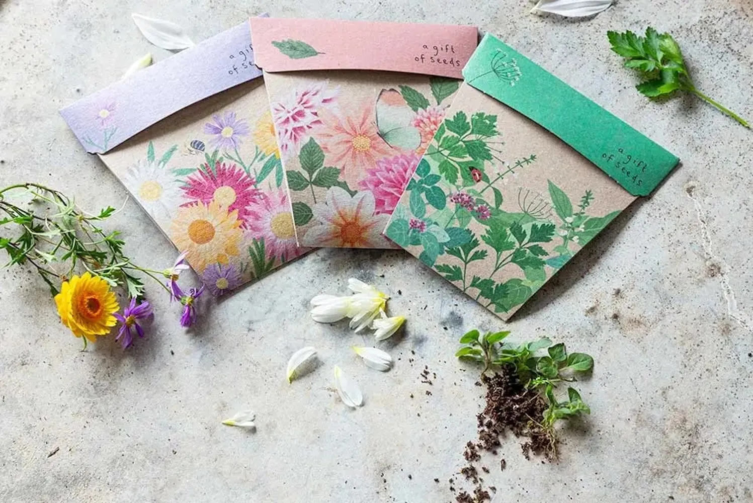 Sow 'n' Sow A Gift of Seeds - Herbs
