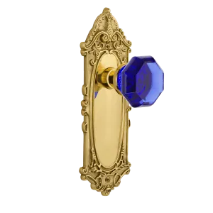 Victorian Long Plate with Cobalt Waldorf Knob in Polished Brass