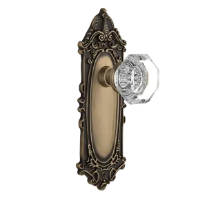 Victorian Long Plate with Waldorf Knob in Antique Brass